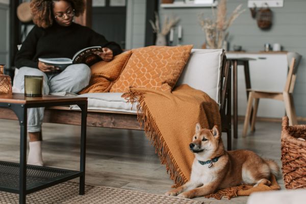 Avoir un chien chez soi : essentiels pour un accueil réussi